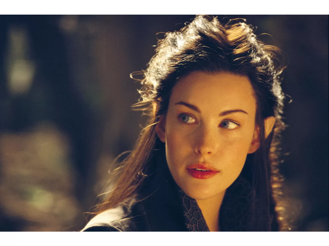 Yüzüklerin Efendisi Serisi