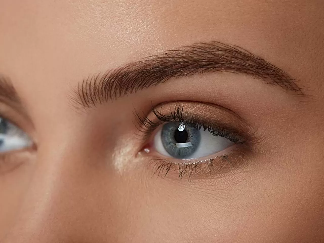 День бровей фото. Брови макро. Microblading. Колорирование бровей. • Eyebrow / Brow — бровь.