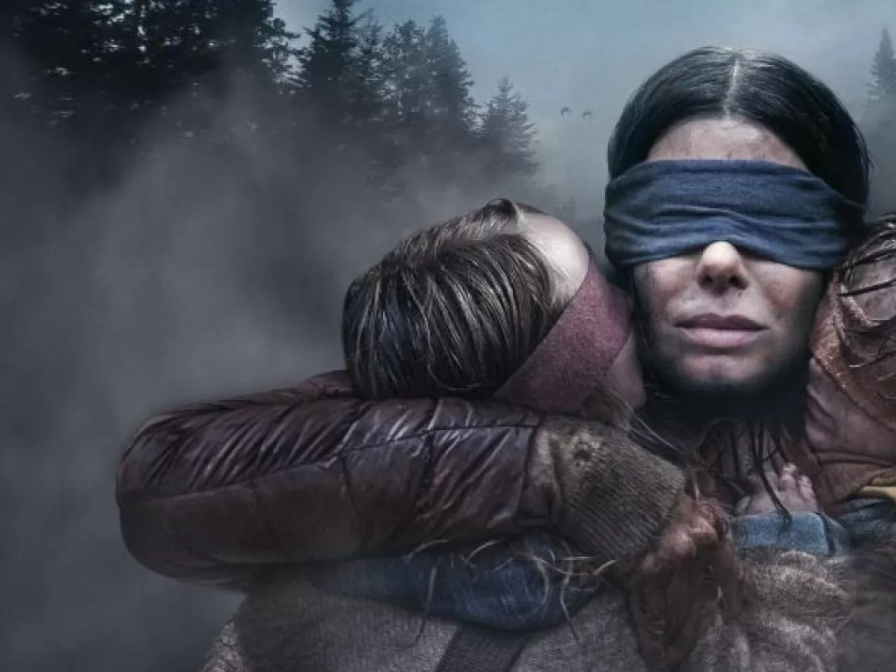 Bird Box
