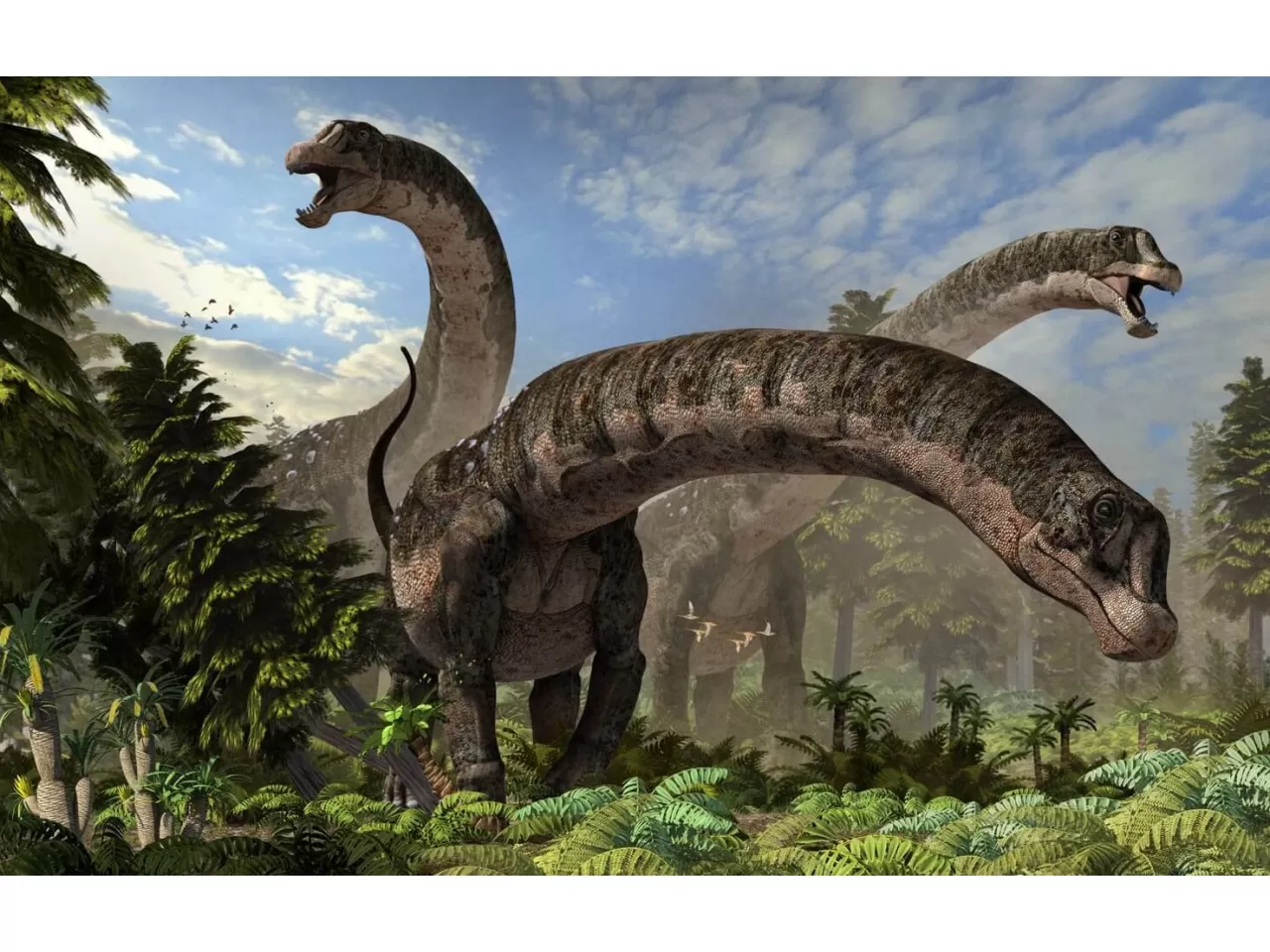 Dreadnoughtus