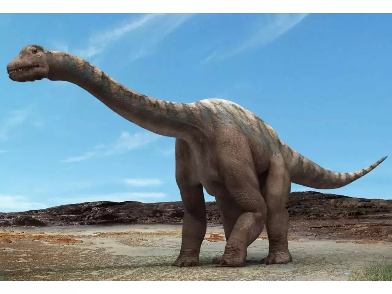Главные динозавры. Диплодок Аргентинозавр. Argentinosaurus динозавр. Зауроподы Аргентинозавр. Титанозавр зауропод.