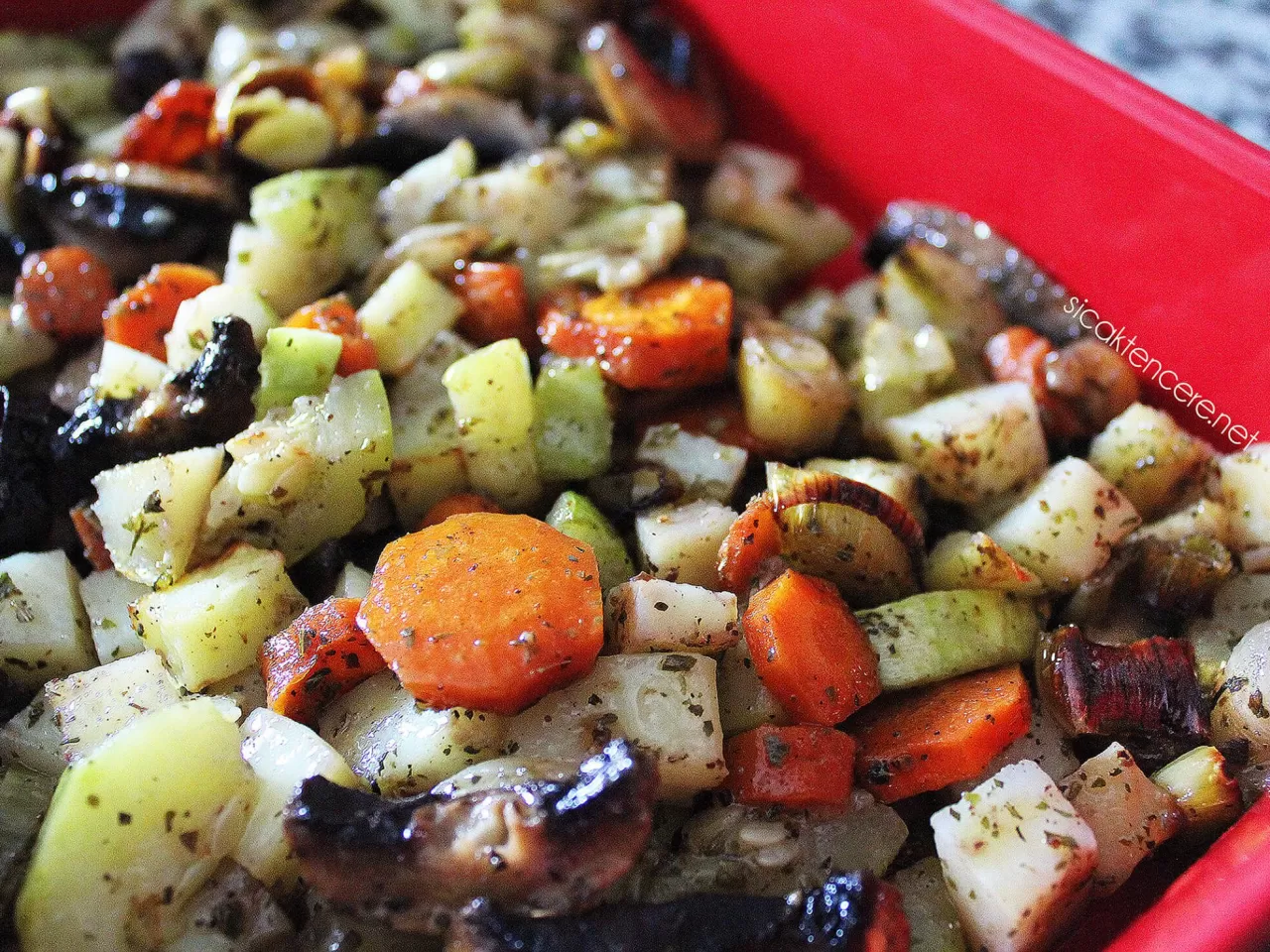 FIRINDA SEBZE GRATEN