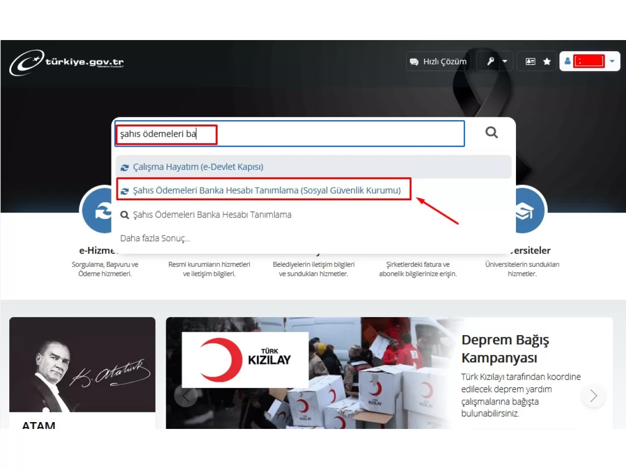 Arama Alanına Şahıs Ödemeleri Banka Hesabı Tanımlama Yazın