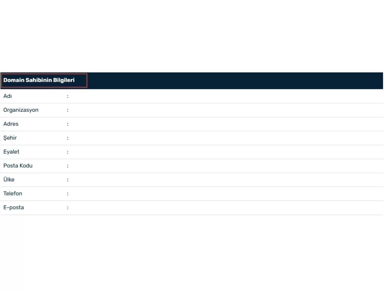 Domain Sorgulama Nasıl Yapılır?