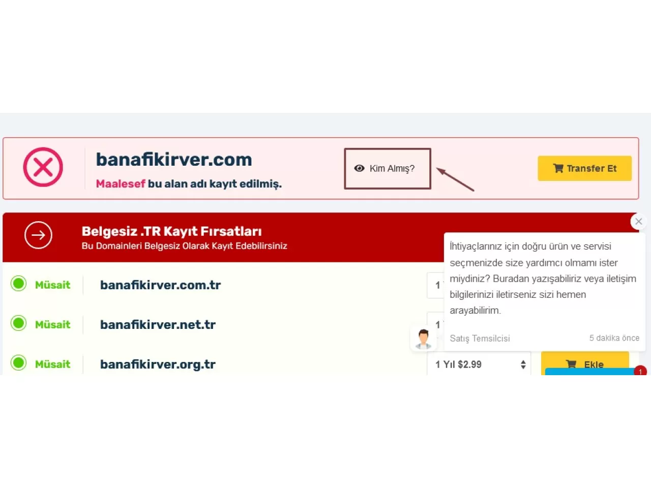 Domain Sorgulama Nasıl Yapılır?