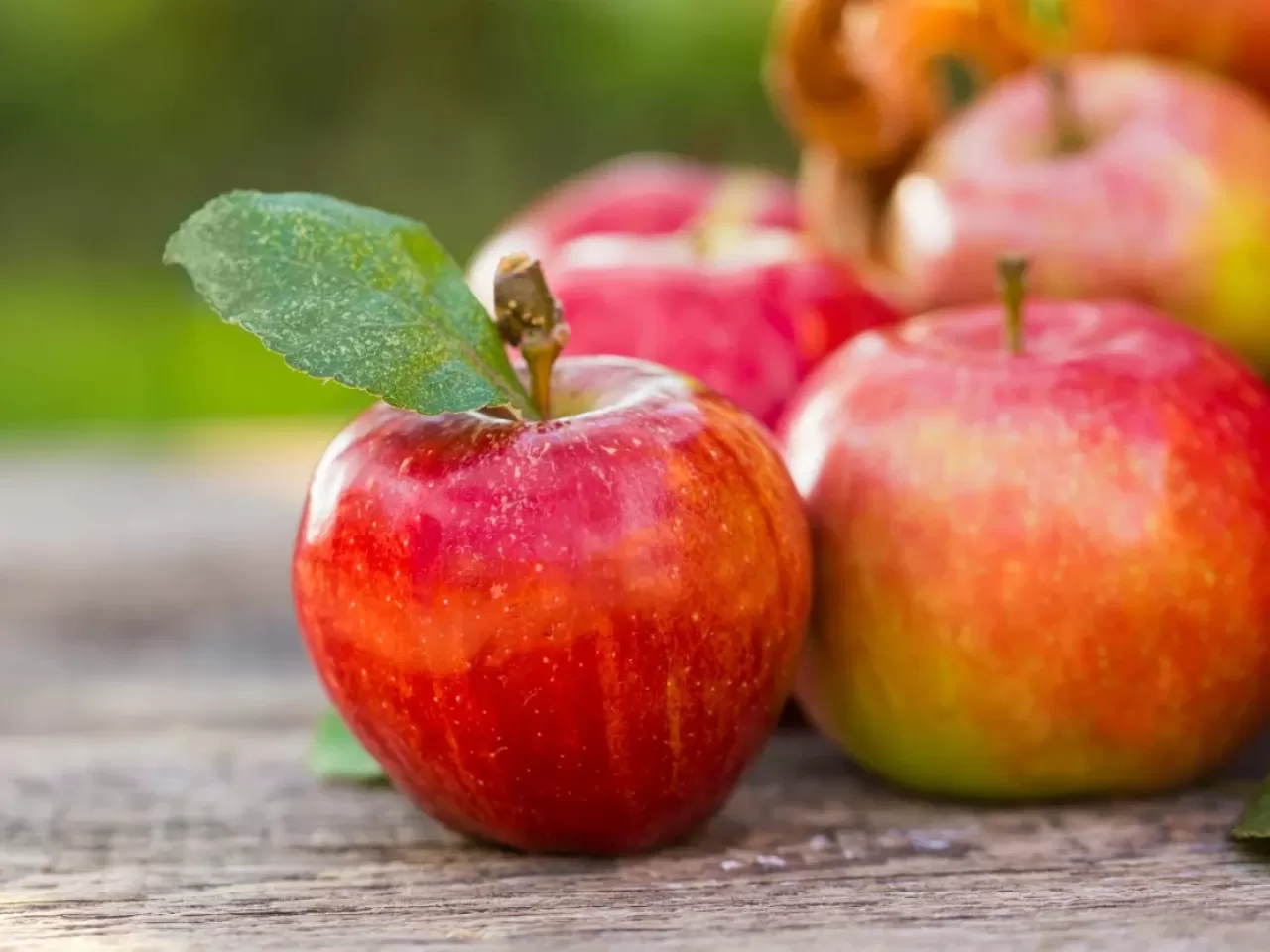 1 adet elma ile günü tok geçirin! Sürpriz elma tarifi hem kilo verdirecek hem de